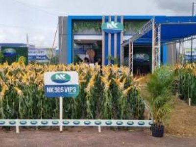 Depositphotos_13308615_XL-3