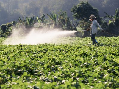 Farmer spraying pesticide on soy field