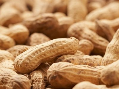 macro pic of peanut texture