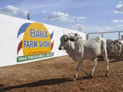 Depositphotos_152816688_XL-1