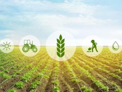Icons and field on background. Concept of smart agriculture and modern technology