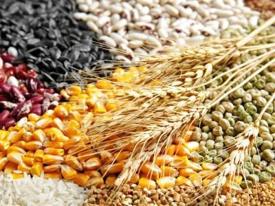 produção de grãos