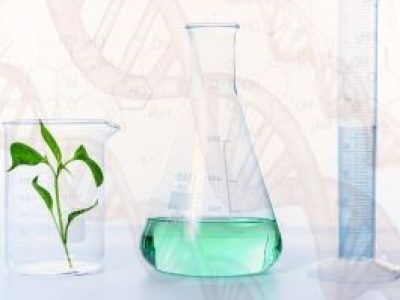 Depositphotos_208353470_XL