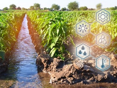 Natural watering of agriculture. High technologies and innovations in agro-industry. Study quality of soil and crop. Scientific work and development of new methods and selection of varieties.