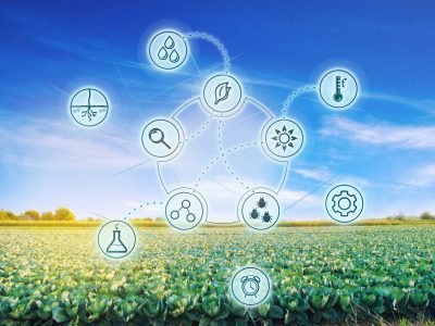 Análise foliar com inteligência artificial reduz custos e aumenta produtividade no agro