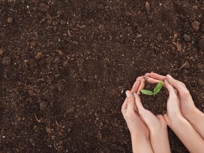 ecovalorização na produção agrícola