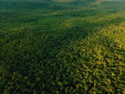 Aerial view of Beautiful footage of tropical Rainforest in Amazon,