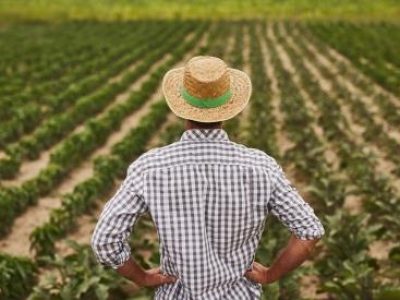 Farmer in hat standing on green field