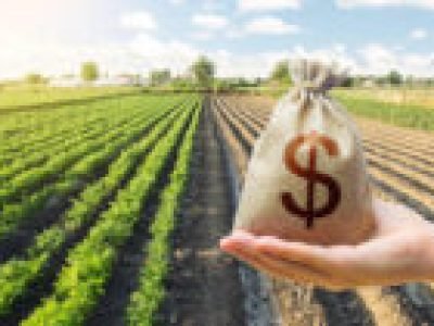 Evento do CONACREDI reúne profissionais do agronegócio para debater crédito rural, gestão de riscos, inadimplência no agro e estratégias financeiras para o setor.