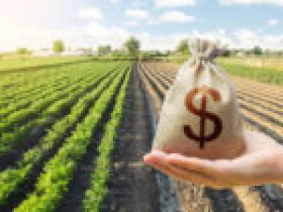Evento do CONACREDI reúne profissionais do agronegócio para debater crédito rural, gestão de riscos, inadimplência no agro e estratégias financeiras para o setor.