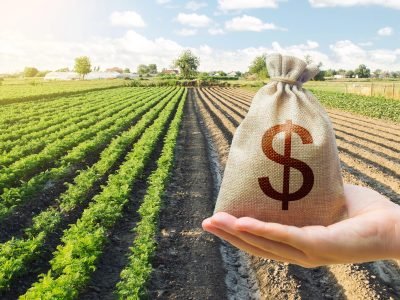 Evento do CONACREDI reúne profissionais do agronegócio para debater crédito rural, gestão de riscos, inadimplência no agro e estratégias financeiras para o setor.