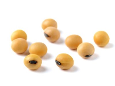 Closeup of soy beans on white background