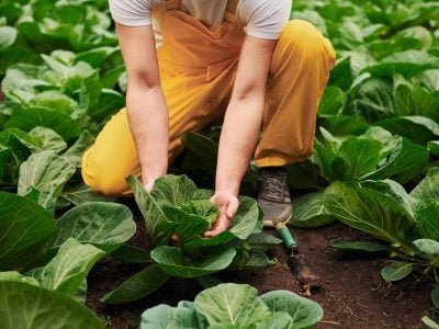 Depositphotos_569121018_XL