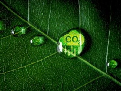 CO2 reducing icon on green leaf with water droplet for decrease CO2 , carbon footprint and carbon credit to limit global warming from climate change, Bio Circular Green Economy concept.