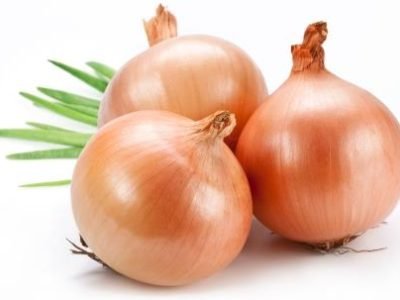 Onion on a white background