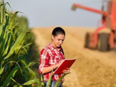 Woman agronomist in wheat field