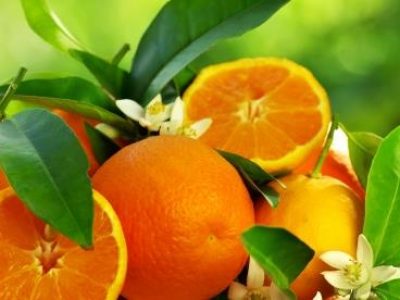 Orange fruits and flowers