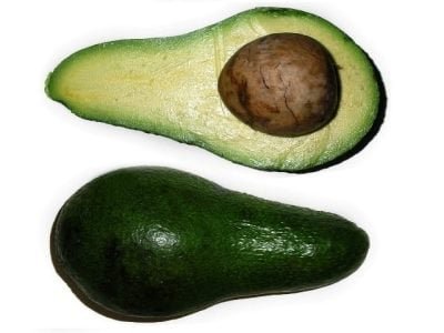 Destaque Abacate 18 - Crédito arquivo