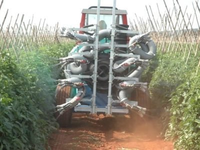 Pulverização tomate cultura mecânica - Crédito Luize Hess