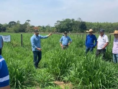 Dia de Campo Lucraaa - Crérido SIA Divulgação (Telefone)