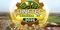 Dinetec