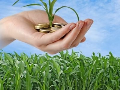 Crédito Shutterstock