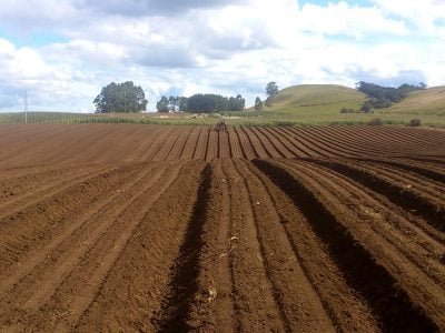 Preparação para plantio de soja iniciará em breve