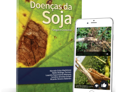 Doencas_da_Soja
