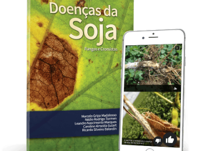 Doencas_da_Soja