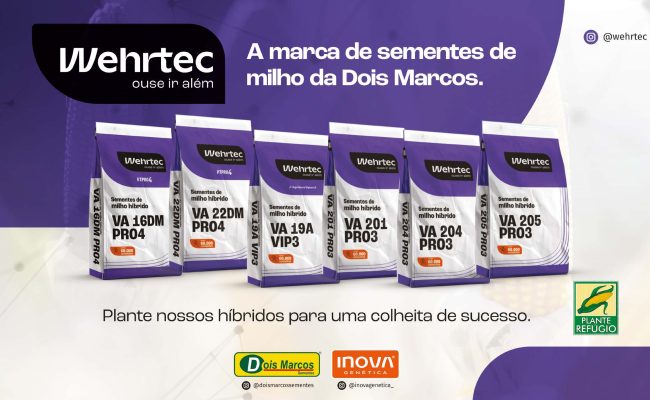 Dois Marcos - ok Miriam - Alterado