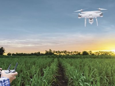 Done - Foto: Divulgação