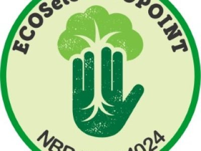 ECOSELO-PNG-2-Telefone