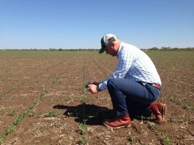 Crédito Divulgação