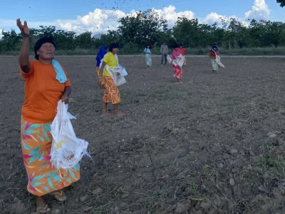 Edital Floresta Viva Equipe em área de restauração florestal na Mata Atlântica, iniciativa do edital Floresta Viva.