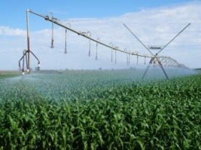 Em-ambientes-com-histórico-de-deficiência-hídrica-a-irrigação-é-a-maneira-mais-eficiente-de-reduzir-danos-Crédito-Ademir-Torchet-300x199