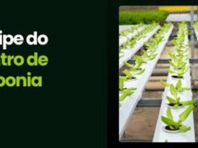 Encontro de Hidroponia 2026