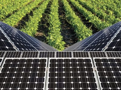 Energia Solar - Crédito: Shutterstock