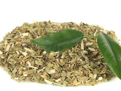 Erva-mate - Crédito: Shutterstock