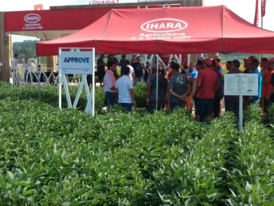 Estande IHARA-Colheita do Arroz