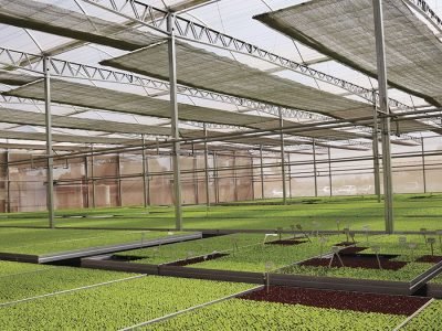 Estufa - Foto: Zanatta