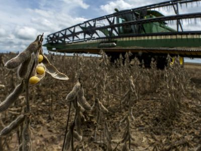 Expedição Safra_Matopiba_Lineu Filho_Gazeta do Povo