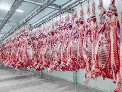 Exportacao-de-carne-bovina-2021-Telefone