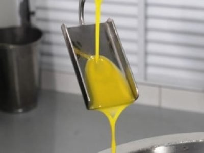 Extração do azeite em Maria da Fé - crédito Ascom EPAMIG (Telefone)