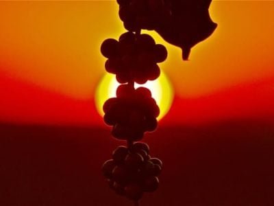 Crédito Cristiano Soares de Oliveira