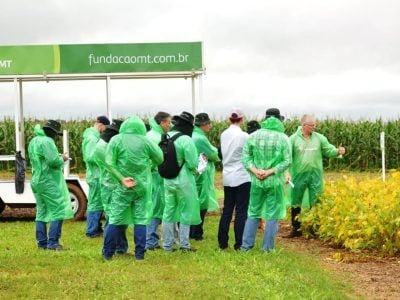 FMT em Campo - Crédito divulgação