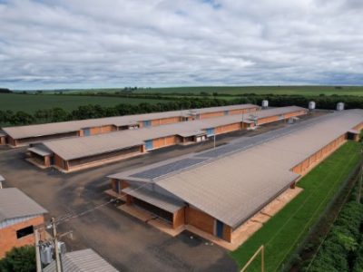Fazenda-Conquisa_Luciana-Dalmagro_case-aviario_edit-Telefone