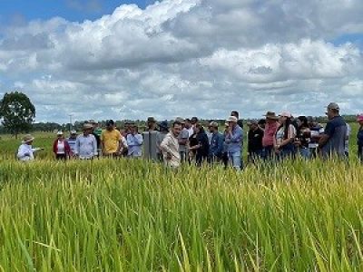 Fazenda-São-Luiz-do-Palmela-1