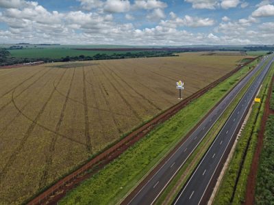 Fazenda-Totem-copy-1