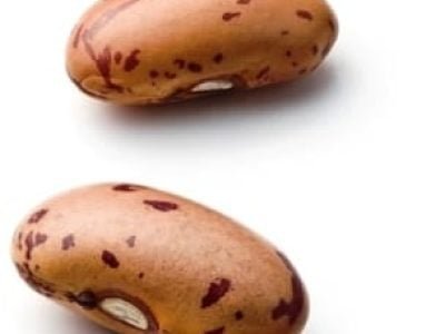 Feijão 23 - Crédito Shutterstock (02-2015)