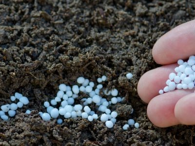 Fertilizante - Crédito Shutterstock